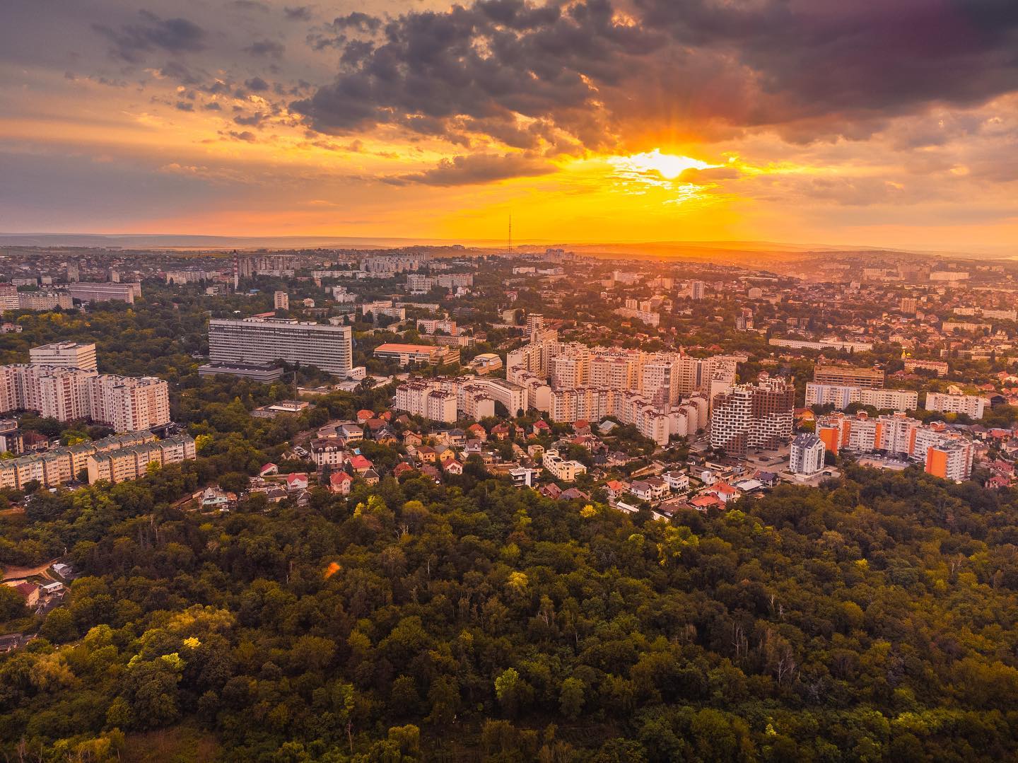 What We Do Background