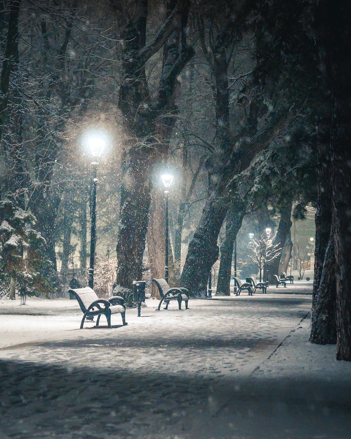 AV Media Photography